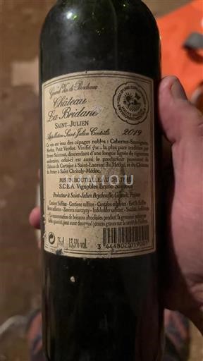Bordeaux Saint-Julien Château La Bridane 2019