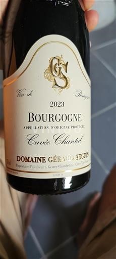 Bourgogne Domaine Gérard Seguin Chantal 2023