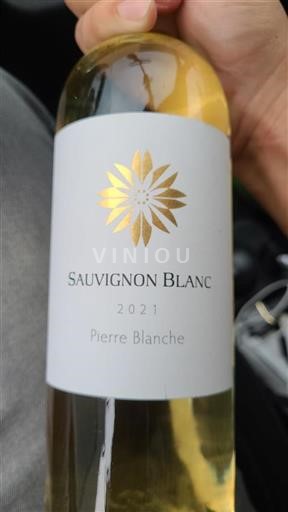 Dolina Loare Touraine Pierre Blanche Sauvignon Blanc 2021