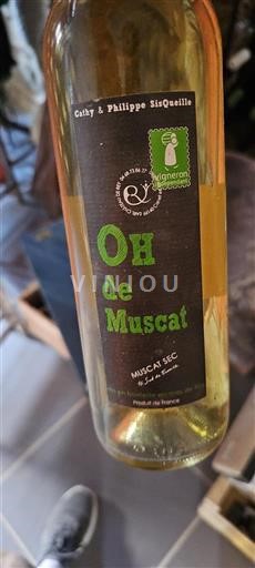 Alsazia Moscato Oh de Muscat 2010