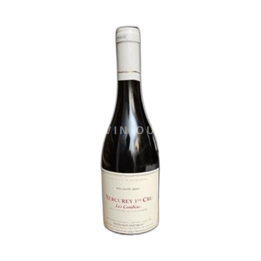 Borgogna Mercurey Premier Cru Indivision Fleureau Les Combins 2021