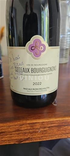 Borgogna Coteaux borgognoni Pascale Rion Delhautal 2022