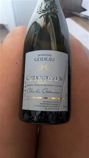 Vallée de la Loire Coteaux-du-layon Domaine Godeau Clos des Ortinières 2007