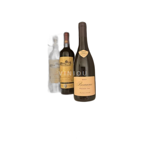 Bourgogne Beaune Premier Cru Domaine La Vougeraie 2021