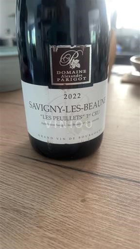 Burgundy Savigny-lès-Beaune Premier Cru Domaine Alexandre Parigot Les Peuillets 2022