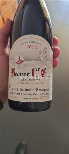 Bourgogne Premier Cru Sainson-Rossignol Les Teurons 2022