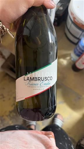 Emilie-Romagne Lambrusco Bianco Emilia Non Millésimé