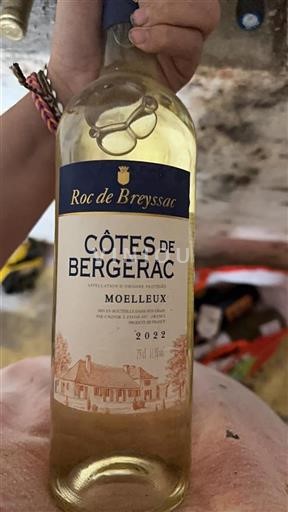 Jihozápad Côtes-de-bergerac Roc de Breyssac 2022