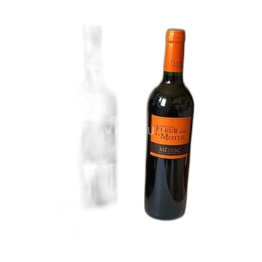 Bordeaux Médoc Château Fleur La Mothe 2009