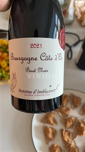 Borgonha Borgonha Côte d'Or Antoine Imblecourt 2021