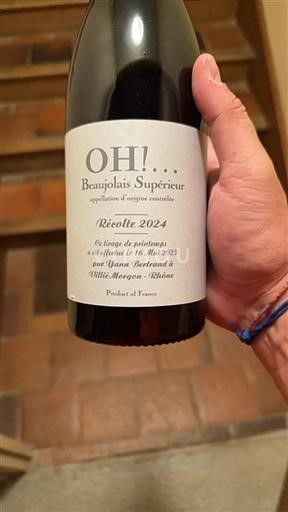 Beaujolais Beaujolais superiore Yann Bertrand OH! 2024