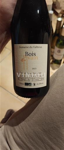 Valle della Loira Saumur-Champigny Domaine Valbrun Bois Pivain 2023