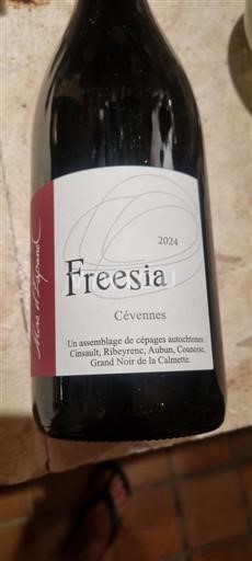 Languedoc ja Roussillon Cévennes Mas Agonac Freesia 2024