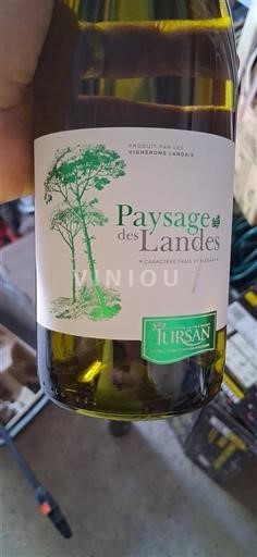 Vin Blanc sec Paysage des Landes Vignerons Landais Non millésimé France Sud-Ouest Tursan AOC