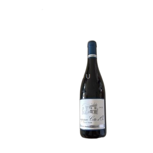 Borgonha Borgonha Côte d'Or Domaine Bernard Millot 2022