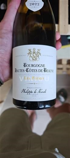 Bourgogne Hautes Côtes de Beaune Philippe le Hardi Les Foires 2022