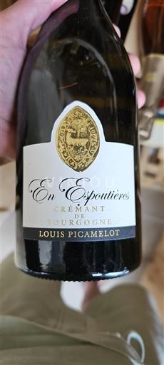 Bourgogne Crémant-de-bourgogne Louis Picamelot En Espoutières 2019