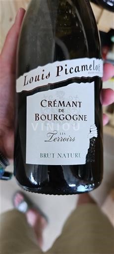 Bourgogne Crémant-de-bourgogne Louis Picamelot Les Terroirs 2020