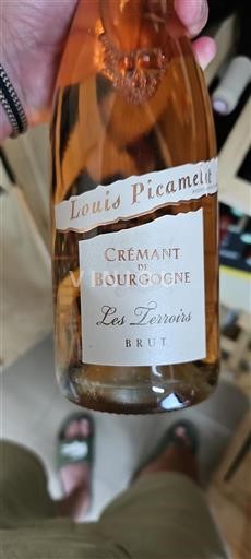 Bourgogne Crémant-de-bourgogne Louis Picamelot Les Terroirs 2020