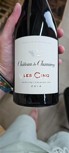 Borgogna Mercurey Premier Cru Château Chamirey Les Cinq 2014