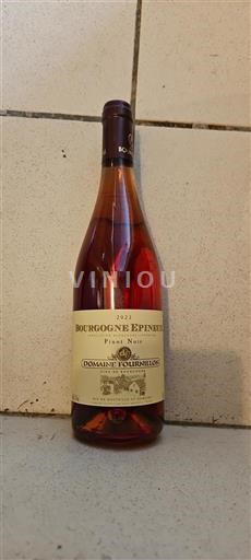 Borgogna Bourgogne Epineuil Domaine Fournillon 2023