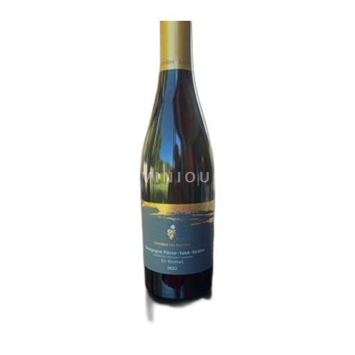 Borgogna Borgogna-passetoutgrain Domaine Les Astrelles En Riottes 2022