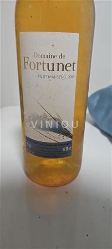 Sydvestfrankrig Côtes de Gascogne Domaine Fortunet Petit Manseng 2009