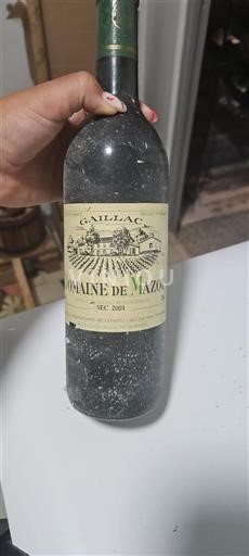 Sydvestfrankrig Gaillac Domaine Mazou 2001