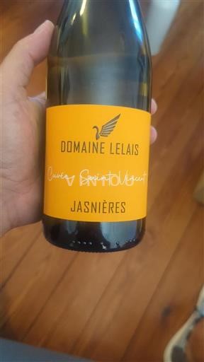 Valle della Loira Jasnières Domaine Lelais Saint Vincent 2024