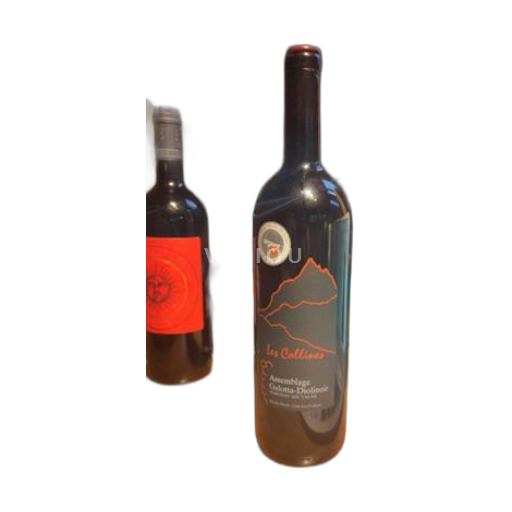 Vin Rouge sec Assemblage Galotta-Diolinoir Dorsaz Pierre - Cave Les Collines 2023 Suisse Valais Valais AOC AOC