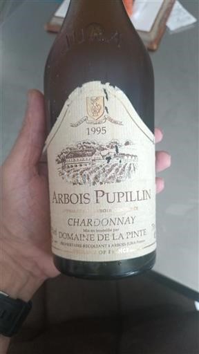 Jura Niet gespecificeerd Domaine La Pinte 1995