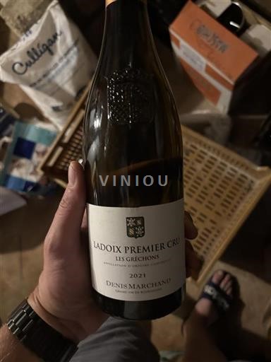 Borgogna Ladoix Premier Cru Denis Marchand Les Gréchons 2021