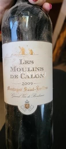 Bordeaux Montagne Saint-Émilion Les Moulins de Calon 2009