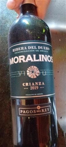Castile and León Ribera del Duero Pagos del Rey Moralinos 2019
