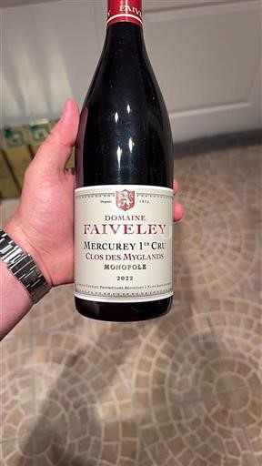 Burgundy Unspecified Premier Cru Domaine Faiveley Clos des Myglands 2022