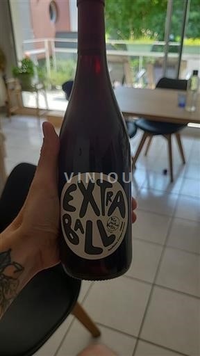 Loire Valley Chinon Domaine Grosbois Extra Ball 2022