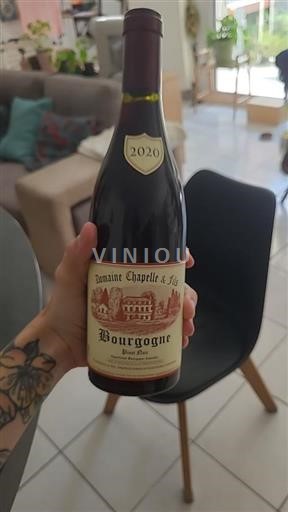 Burgundsko Domaine Chapelle et Fils 2020