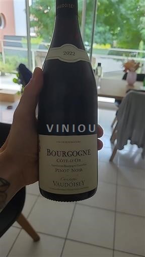 Borgonha Borgonha Côte d'Or Christophe Vaudoisey Pinot Noir 2022