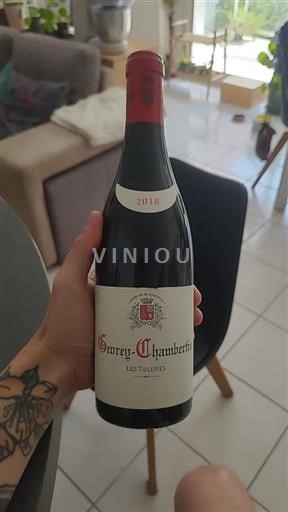 Borgogna Gevrey-Chambertin Domaine Henri Richard Les Tuileries 2018