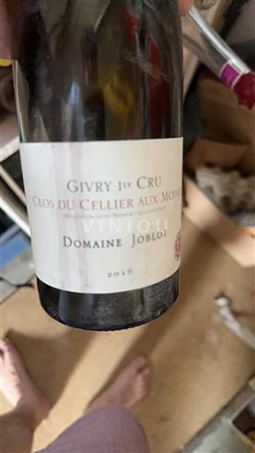Borgogna Givry Premier Cru Domaine Joblot Clos du Cellier aux Moines 2016