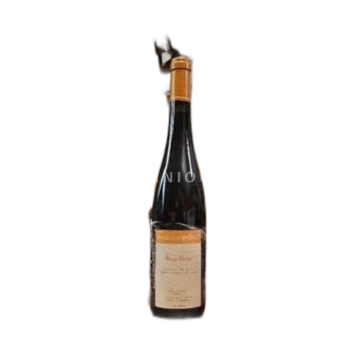 Valle della Loira Coteaux-du-loir Domaine Bellivière Rouge-Gorge 2013