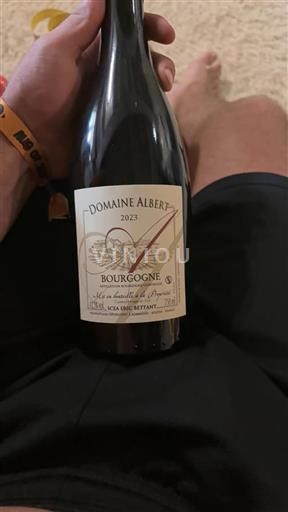 Borgogna Domaine Albert 2023