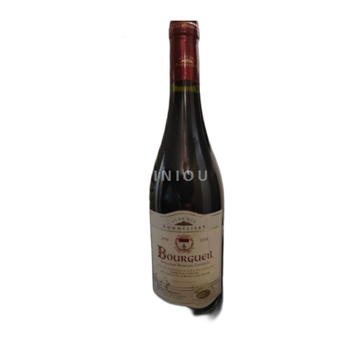Vin Rouge sec Club des Sommeliers Cave des Vins de Bourgueil 2010 France Vallée de la Loire Bourgueil AOC