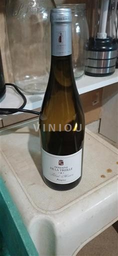 Vin Blanc sec Thibaut Henriou Domaine La Treille Non millésimé France Vallée de la Loire Anjou