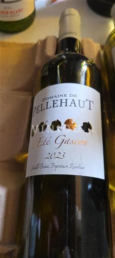 Sudoeste Côtes de Gascogne Domaine Pellehaut Été Gascon 2023