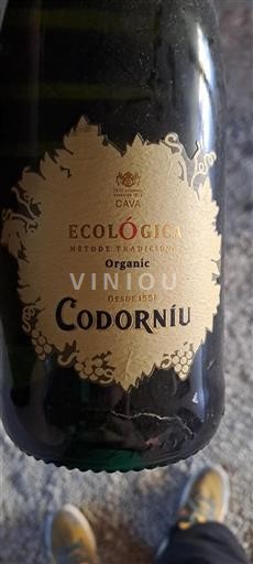 Catalogne Codorníu Ecológica Non Millésimé