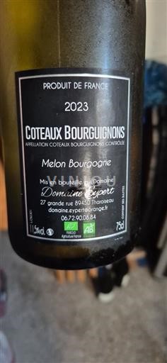 Borgogna Coteaux borgognoni Domaine Eypert Melon Bourgogne 2023
