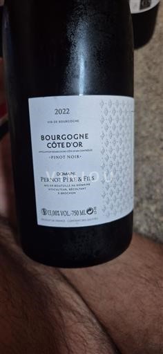 Borgonha Borgonha Côte d'Or Pernot Père & Fils 2022
