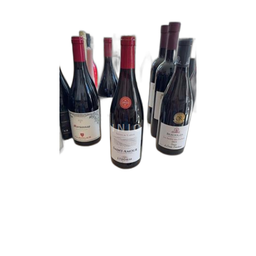 Vin Rouge sec Terres de Galets J. Thorin 2023 France Beaujolais Saint-Amour AOC