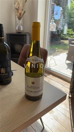 Borgogna Coteaux borgognoni Roland Thevenin 2024